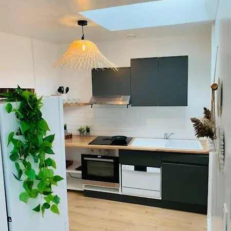 Appartement En Centre-Ville Remiremont Exterior foto