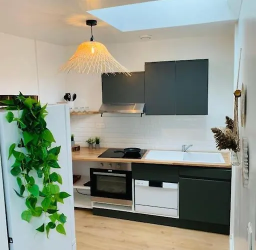 Appartement En Centre-Ville